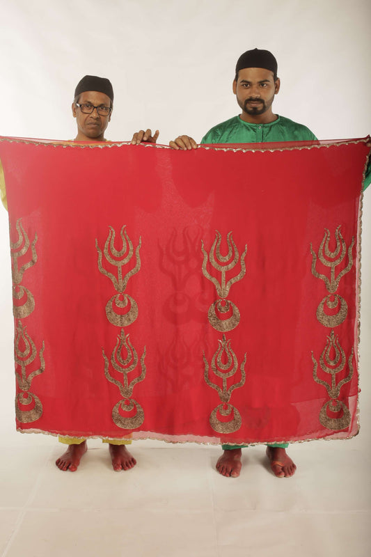 embroidered georgette saree