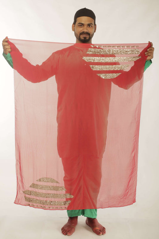 embroidered georgette saree