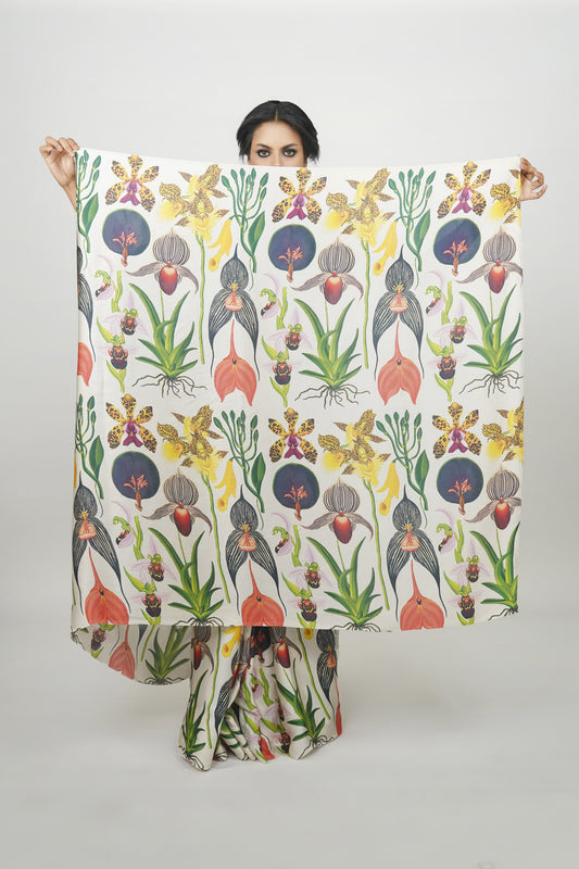 Ayush Kejriwal Designer saree