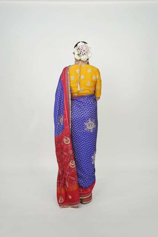 Ayush Kejriwal Patola sarees, Bold sarees
