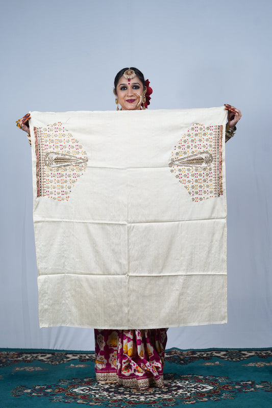 Patan Patola silk saree