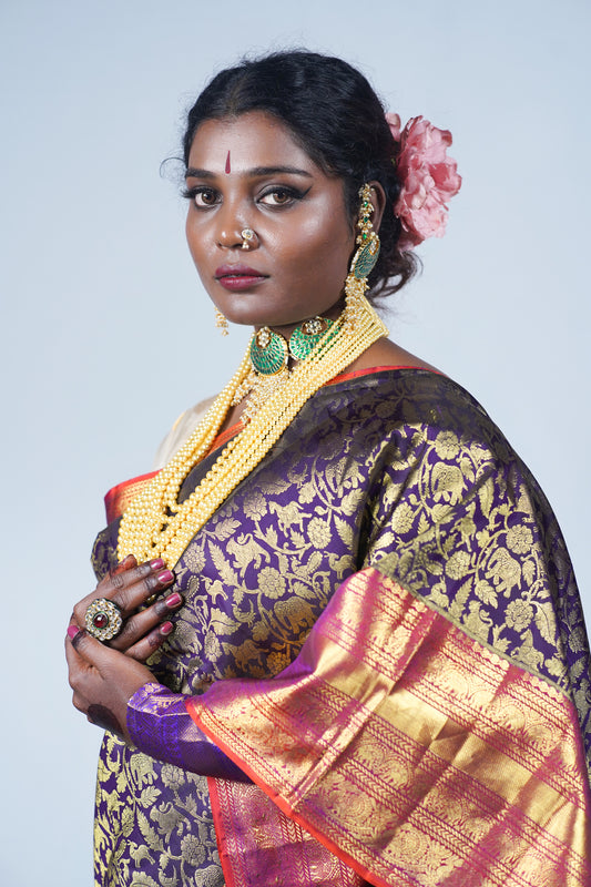 Hand woven Kanjeevaram silk saree