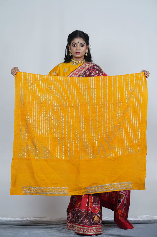 Ayush Kejriwal patola silk saree