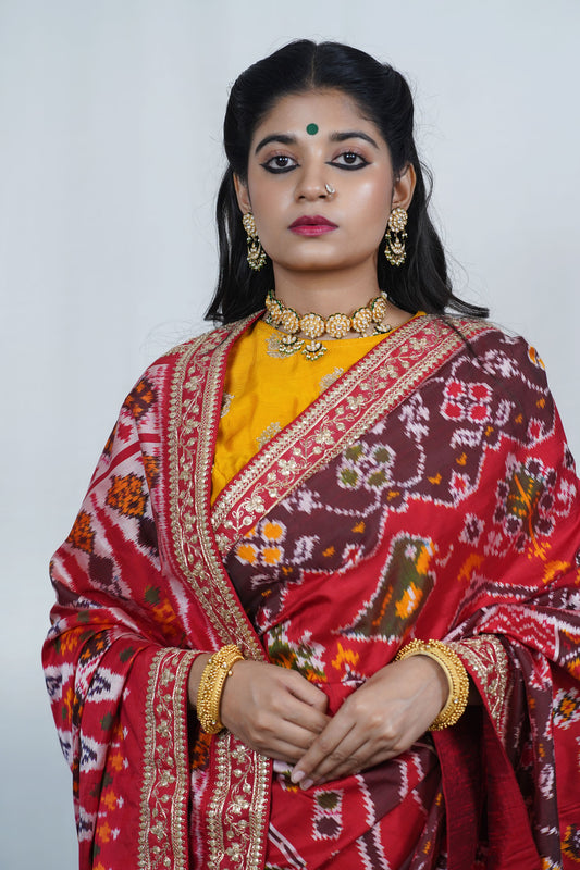 Patola saree by Ayush Kejriwal