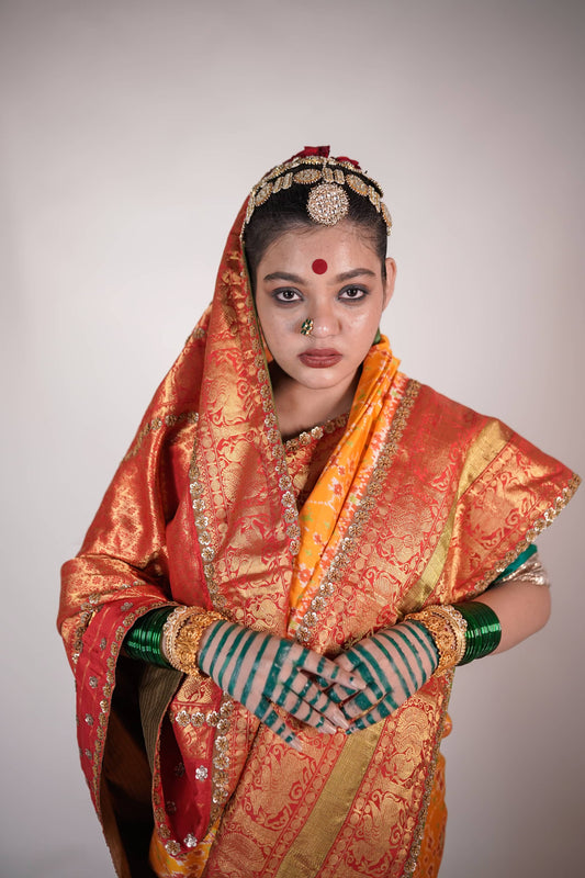 handwoven Kanjeevaram patola silk saree