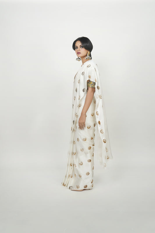 Ayush Kejriwal saree , Indian ethnic clothing
