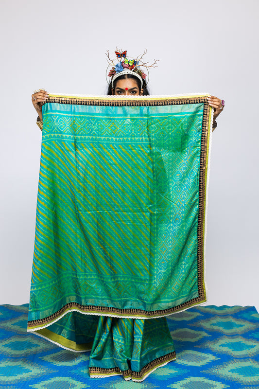 Ayush Kejriwal patola saree