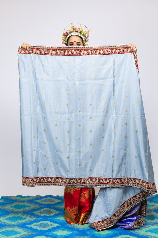 handwoven, hand embroidered kanjiveram silk saree