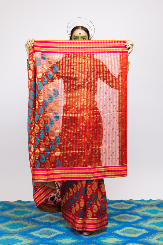 Red and gold wedding saree
