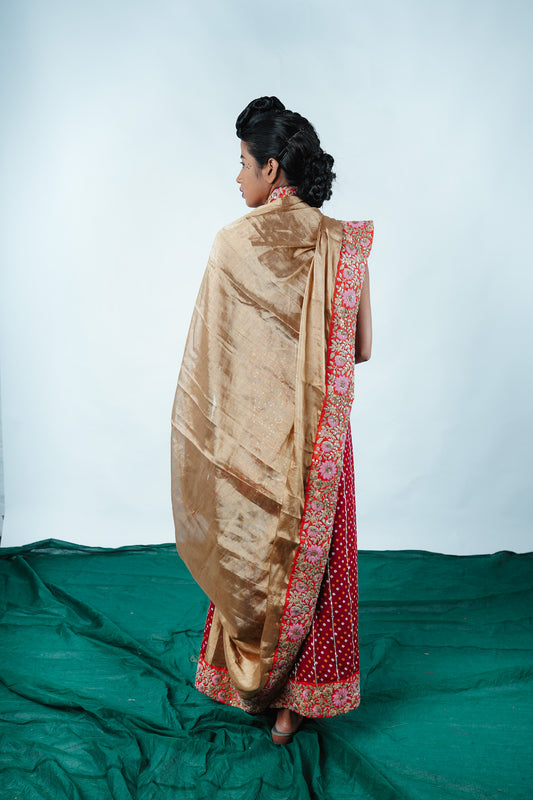 Designer Hand Embroidered Saree by Ayush Kejriwal