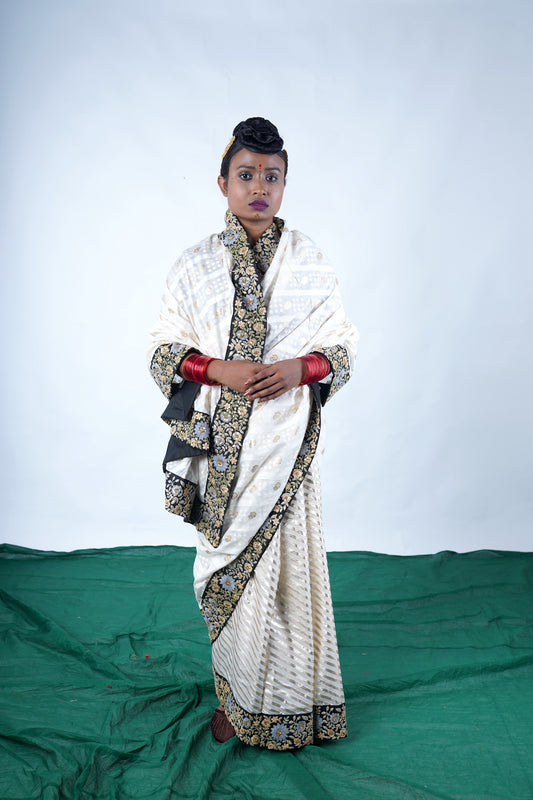 Benarsi Saree by Ayush Kejriwal