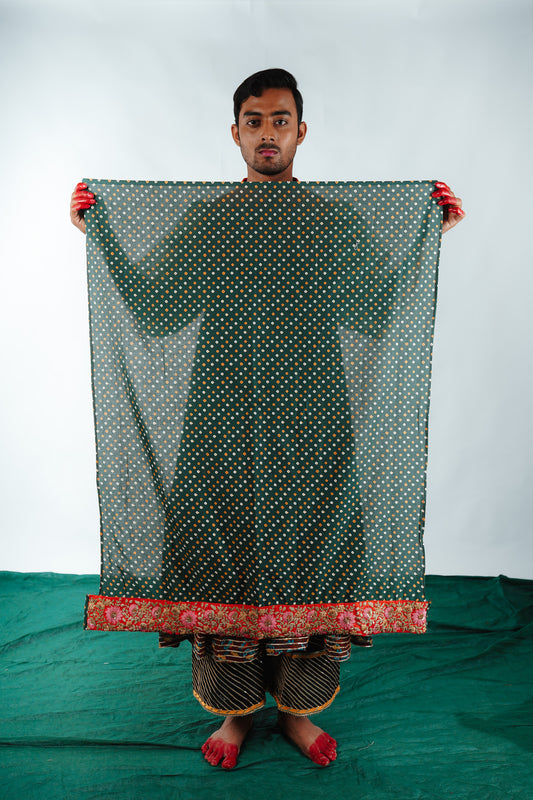 Handwoven Banarasi Saree by Ayush Kejriwal