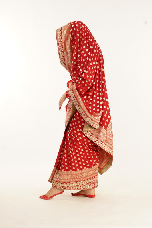Banarasi saree by Ayush Kejriwal