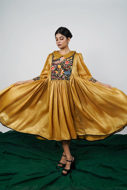 Free Size frock by Ayush Kejriwal