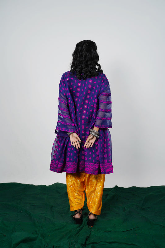 Ethnic Indian clothing