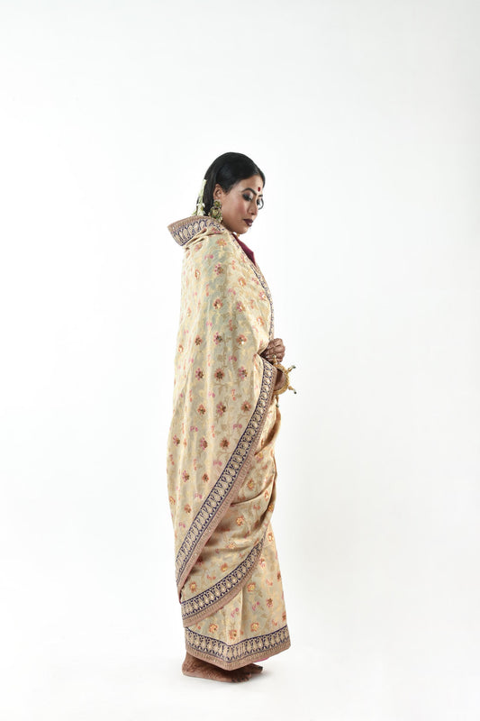 Ayush Kejriwal Benarsi Silk Saree