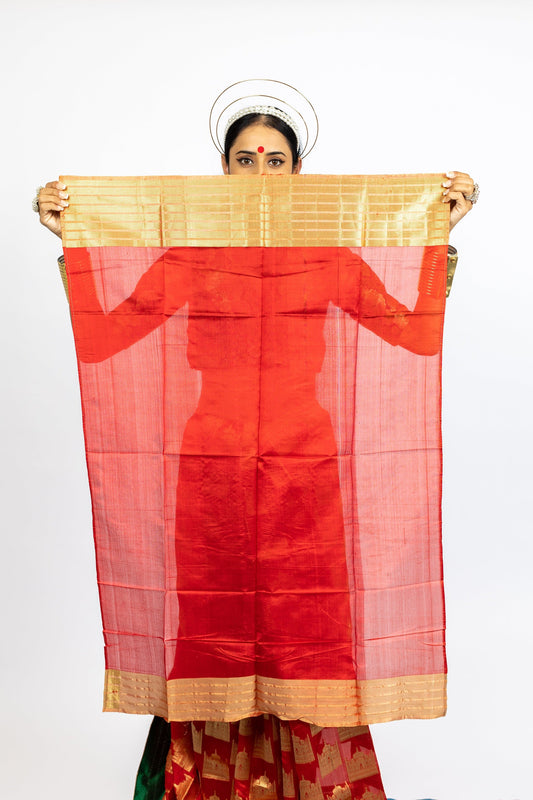 Designer Chanderi Saree by Ayush Kejriwal