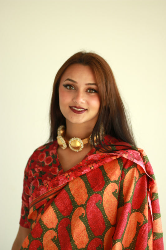A woman wearing a printed silk saree designed by Ayush Kejriwal.