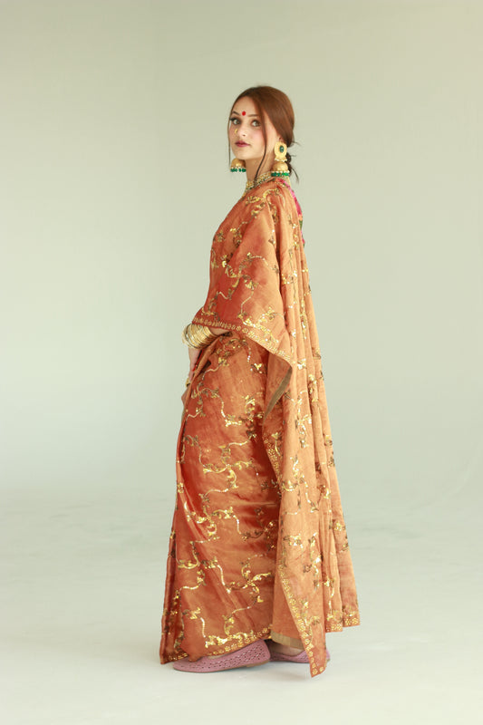 Benarsi Saree by Ayush Kejriwal