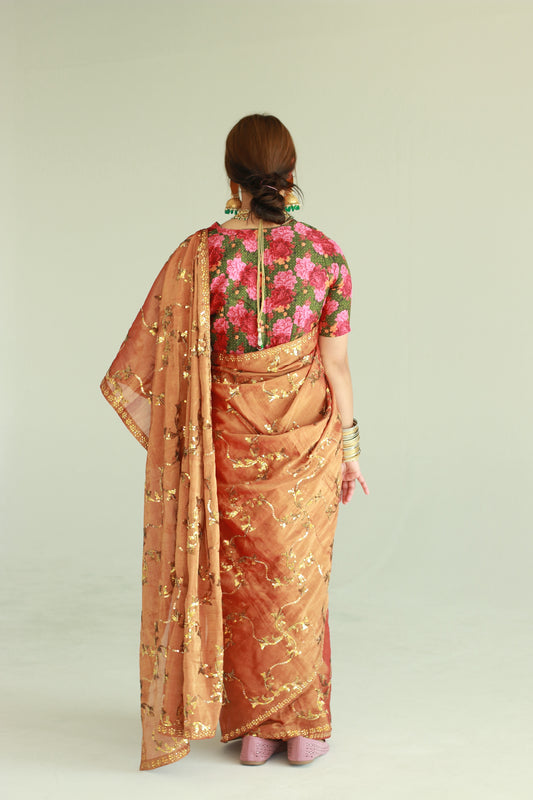 Ayush Kejriwal Saree