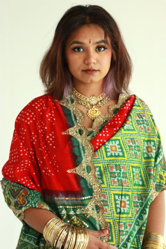 Patola Saree by Ayush Kejriwal