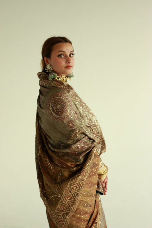 Kalamkari Saree by Ayush Kejriwal