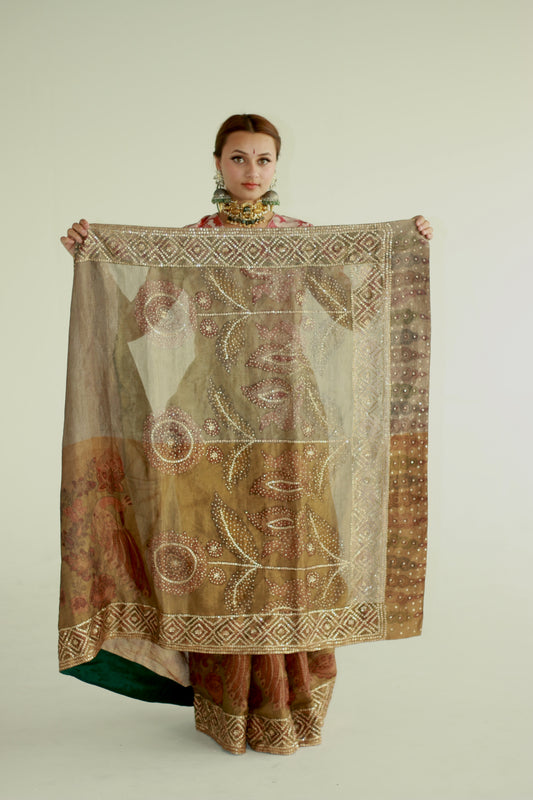 Ayush Kejriwal Kalamkari Saree