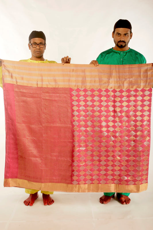 Ayush Kejriwal Saree
