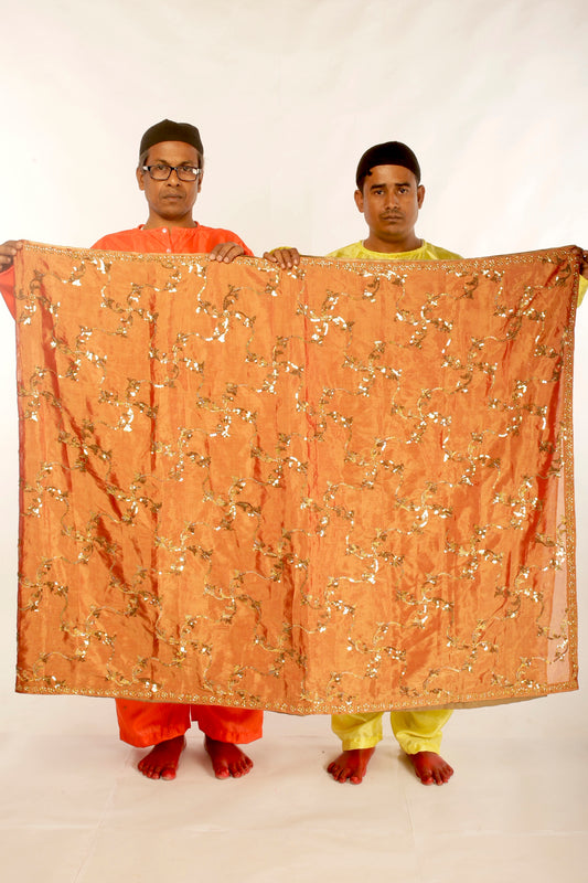 Ayush Kejriwal Benarsi Saree