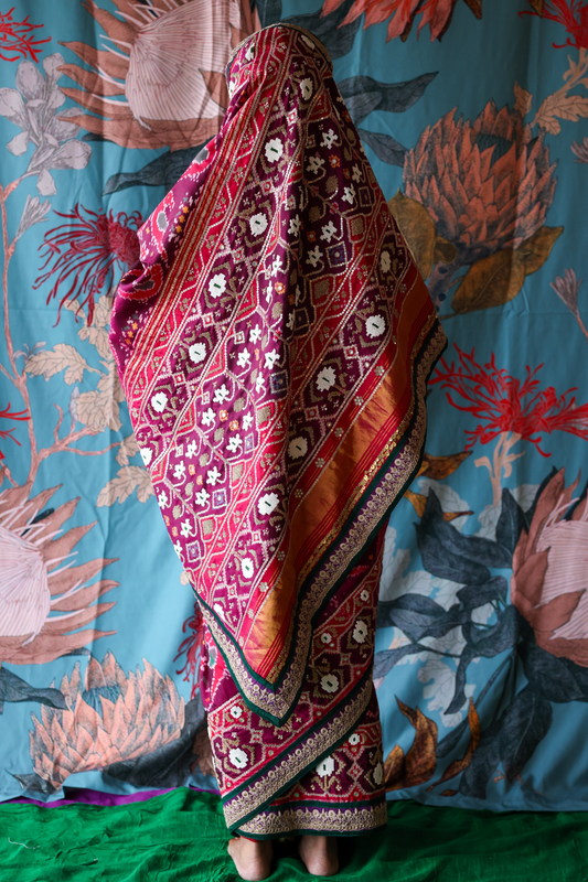 Person wearing a traditional handcrafted authentic hand embroidered patola silk saree with a colorful background