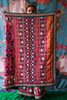 Traditional hand embroidery and hand woven patola silk saree held by a person against a colorful background