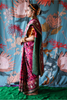 Person wearing a traditional handcrafted authentic hand embroidered patola silk saree with a colorful background