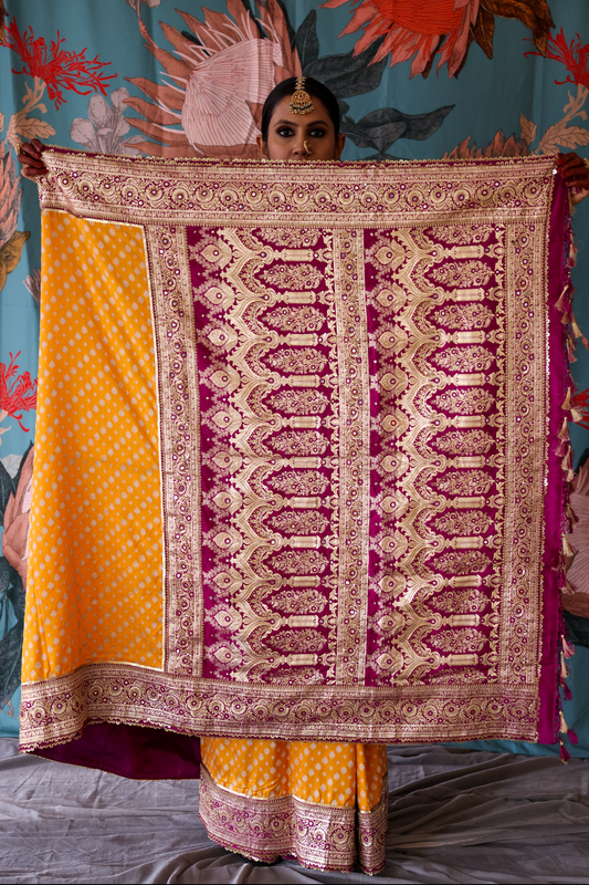 Handcrafted designer embroidered benarsi silk saree by Ayush Kejriwal