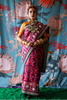 Person wearing a traditional handcrafted authentic hand embroidered patola silk saree with a colorful background