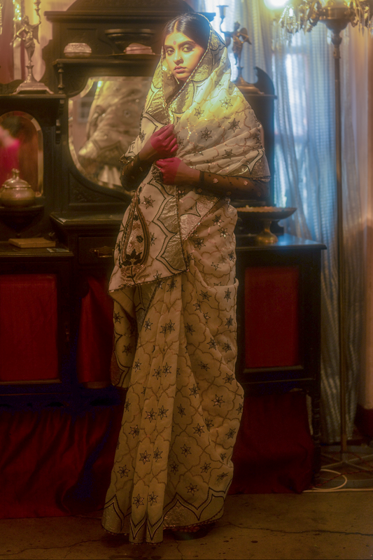 Woman in an hand embroidered organza silk saree