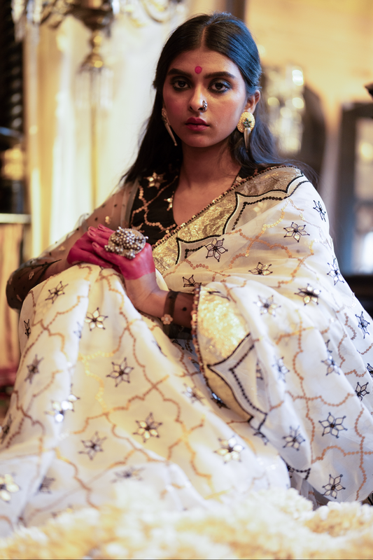 Woman in an hand embroidered organza silk saree