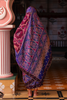 Handcrafted embroidered patola silk saree 