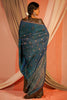 Authentic hand painted pen kalamkari handwoven kanjiveeram silk saree