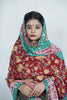 Handcrafted Pashmina shawl