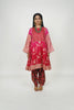 Designer Indian Ethnic Suit Sets by Ayush Kejriwal 