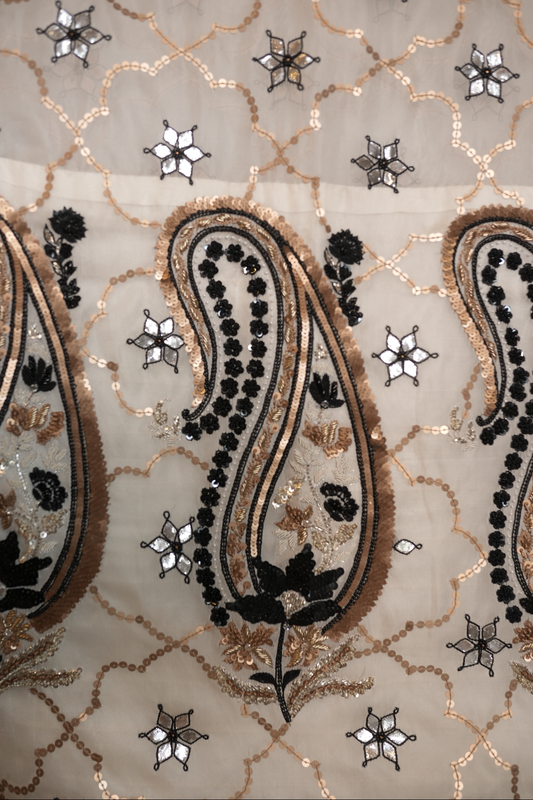 an hand embroidered organza silk saree with paisley patterns and star-shaped embellishments on a beige background.