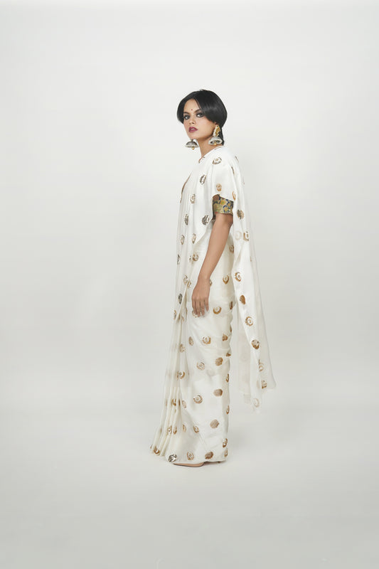 Ayush Kejriwal saree , Indian ethnic clothing 
