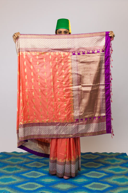 Ayush Kejriwal Banarasi silk saree
