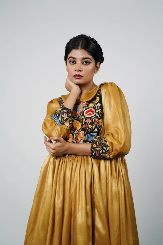 Indian dress by Ayush Kejriwal 