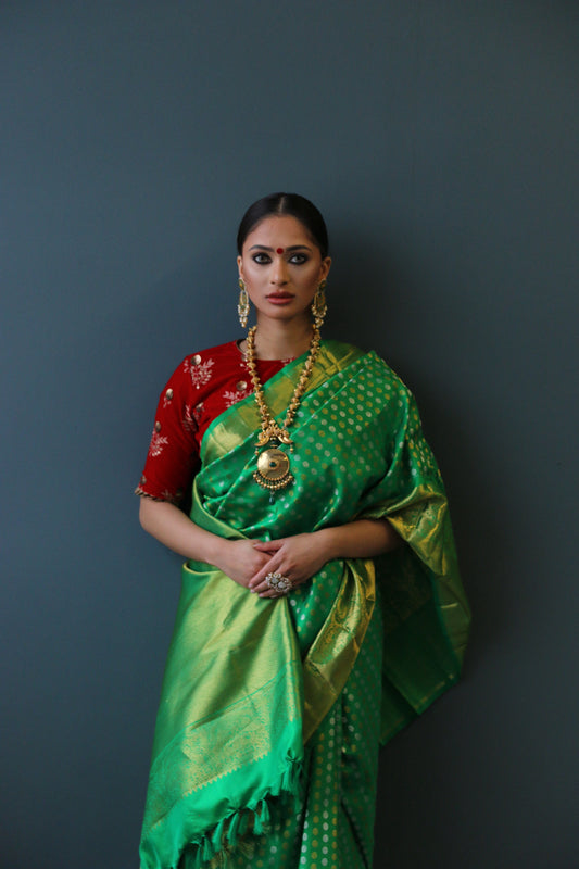 Kanjiveram Silk sarees by Ayush Kejriwal